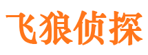 宝兴侦探公司